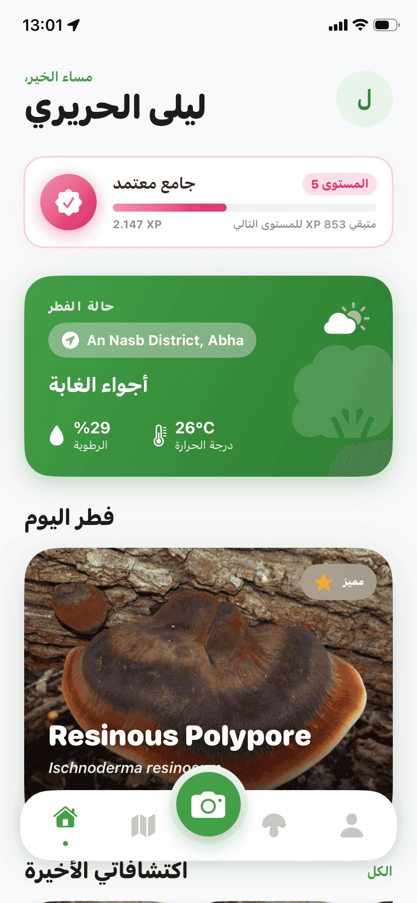 Fungisys home screen showing AI mushroom discovery dashboard