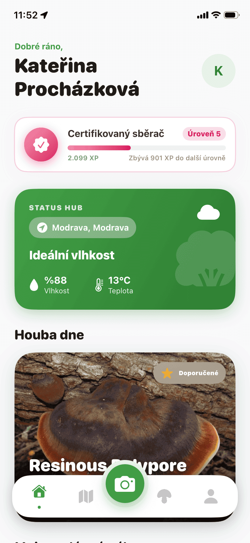 Fungisys home screen showing AI mushroom discovery dashboard