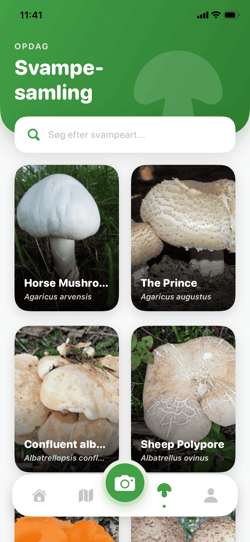 Fungisys Udforsk svampe app screen