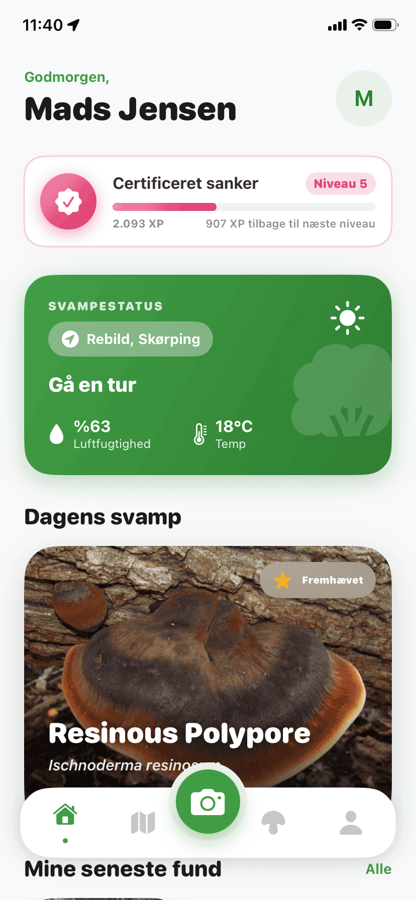 Fungisys home screen showing AI mushroom discovery dashboard