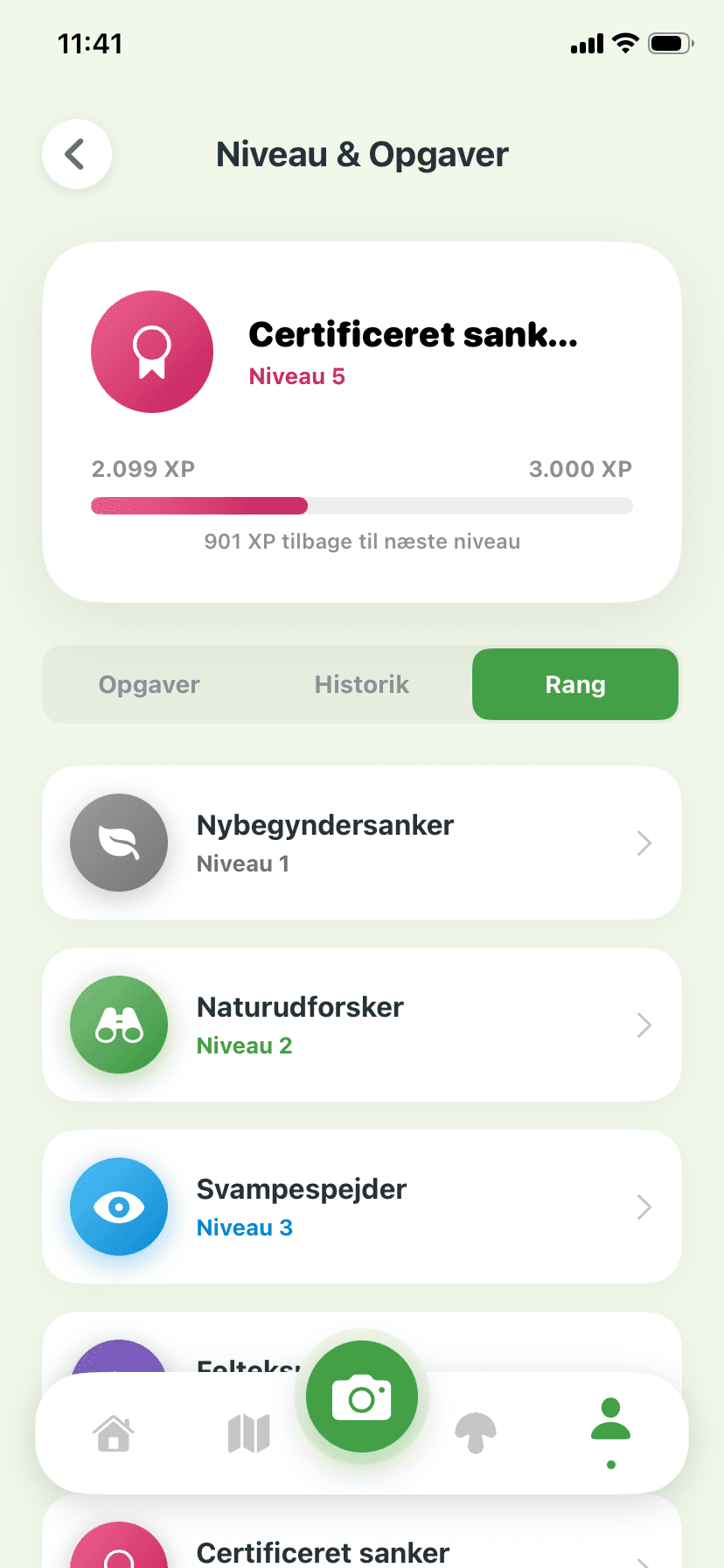 Rangniveauer
