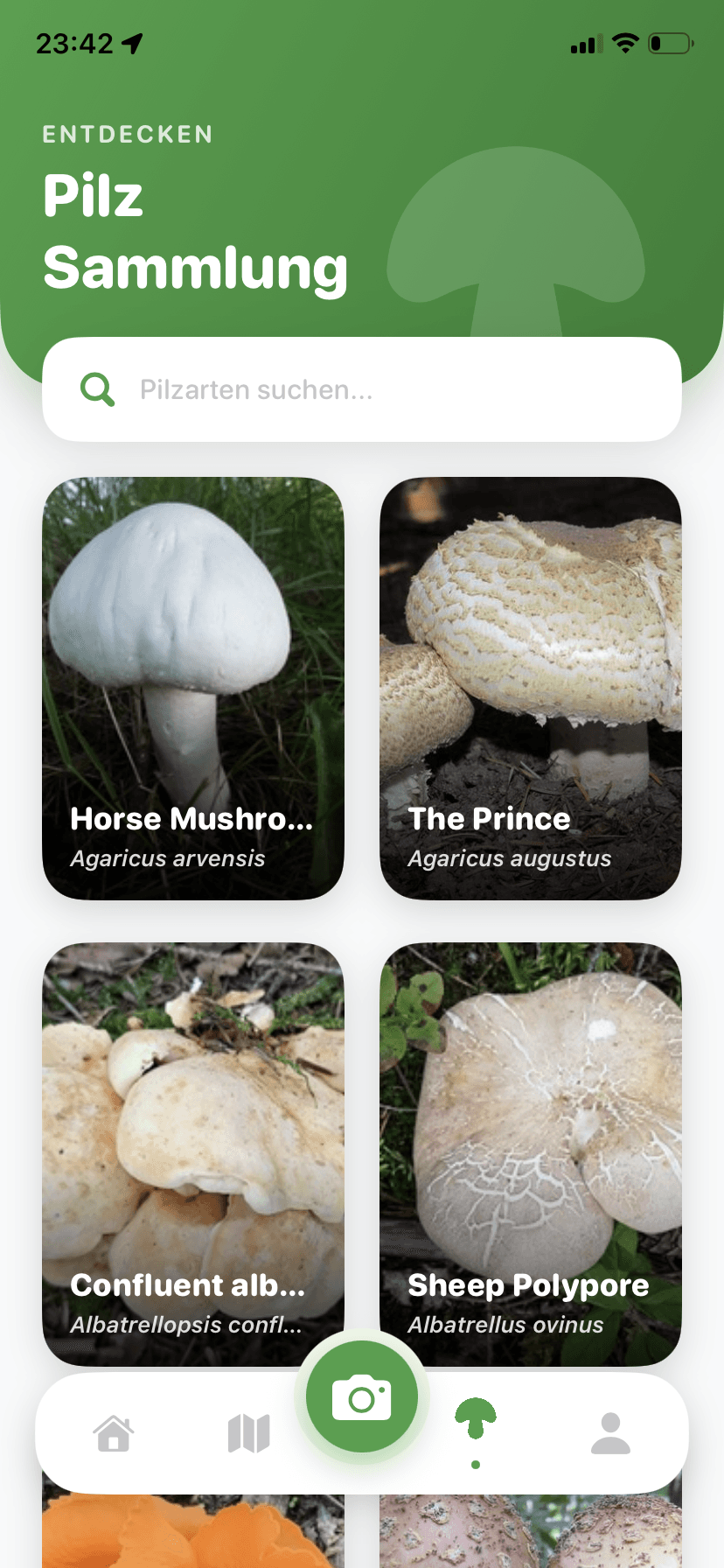 Pilze entdecken