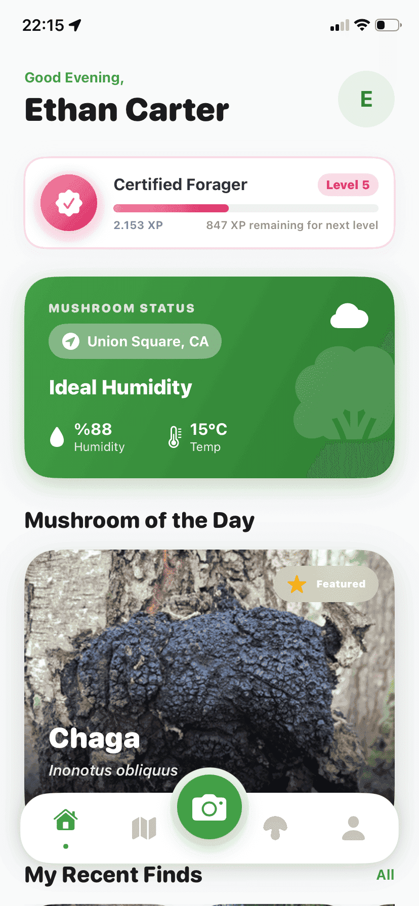 Fungisys home screen showing AI mushroom discovery dashboard