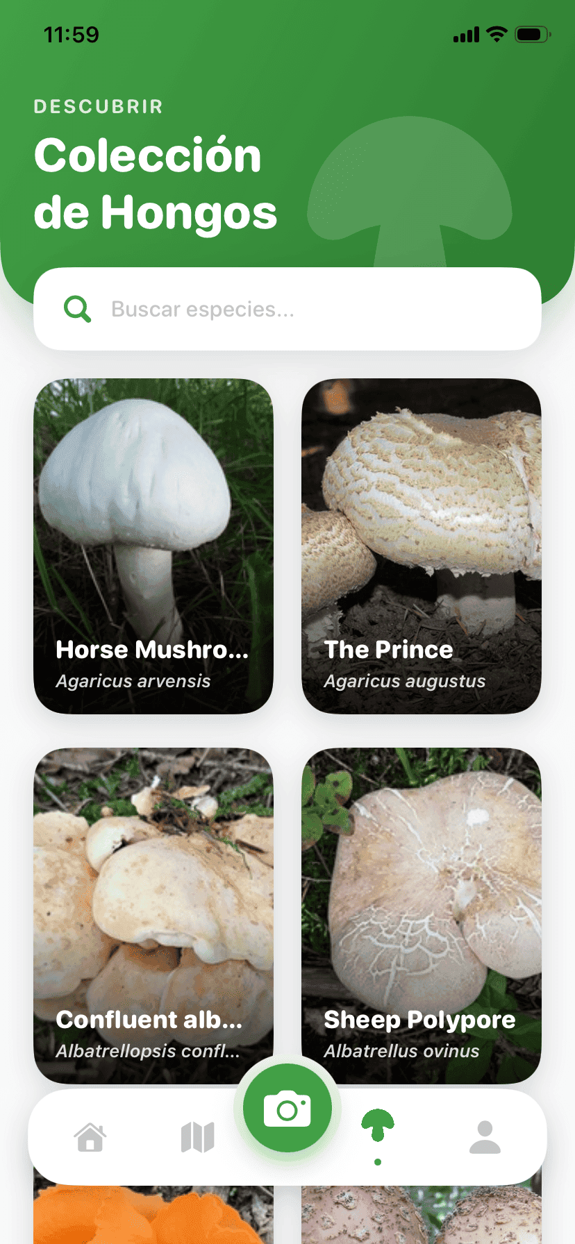 Fungisys Explorar hongos app screen