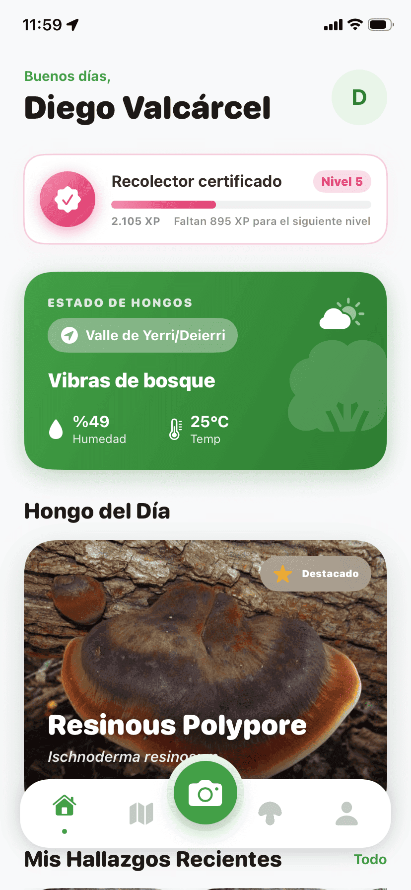 Fungisys home screen showing AI mushroom discovery dashboard