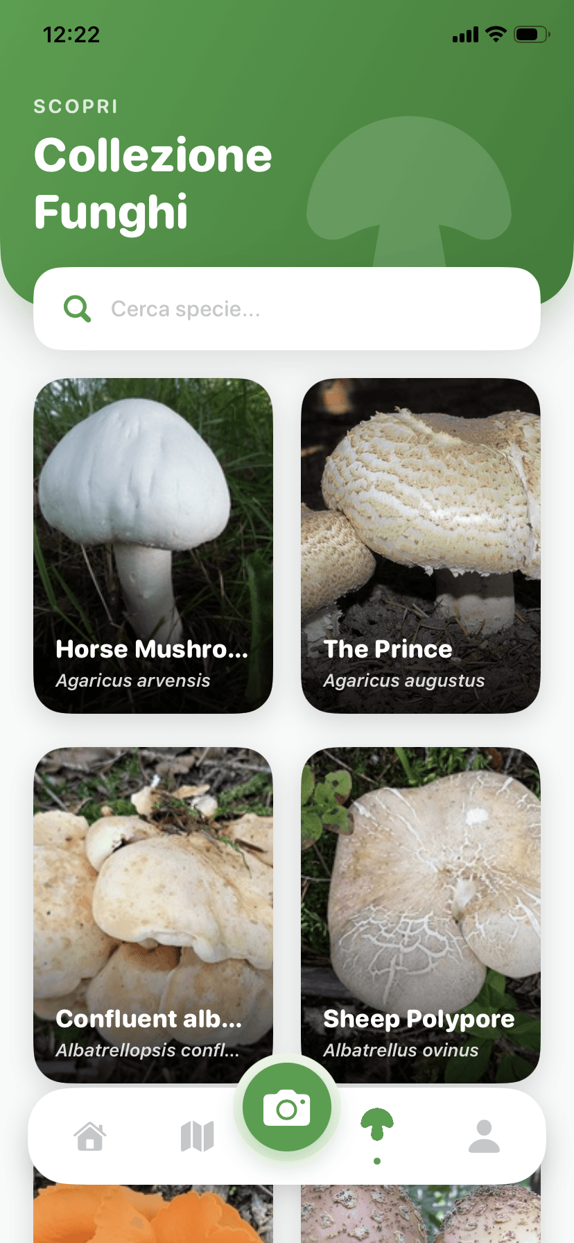 Esplora Funghi