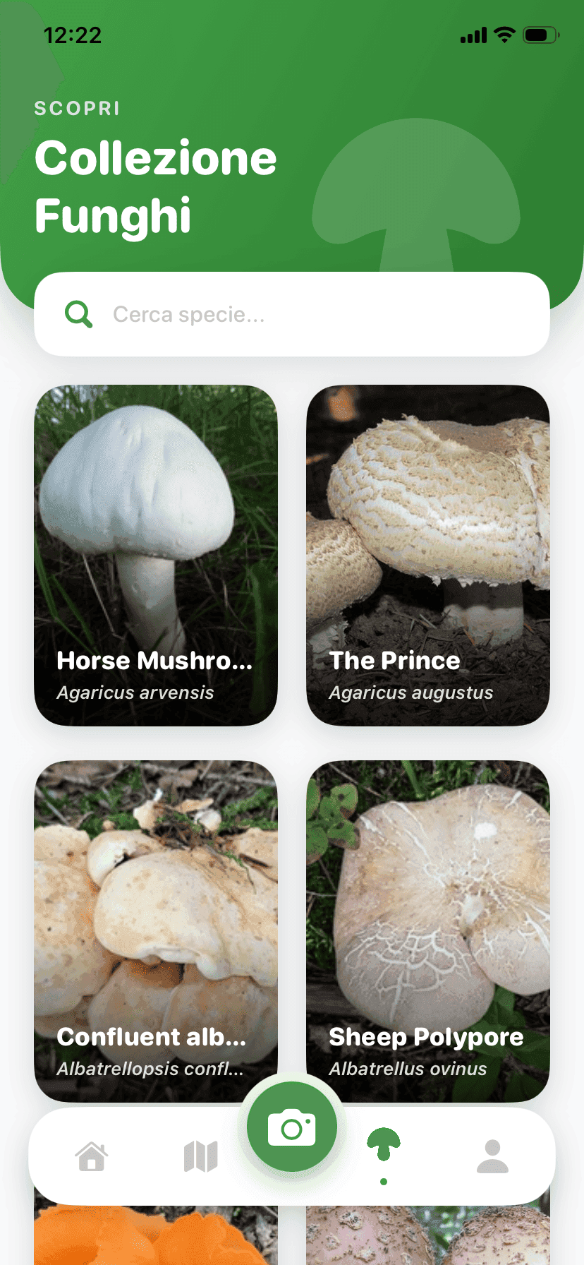 Fungisys Esplora Funghi app screen