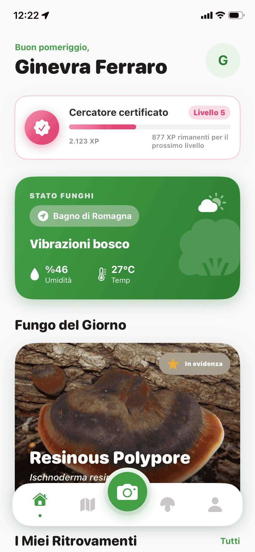 Fungisys home screen showing AI mushroom discovery dashboard