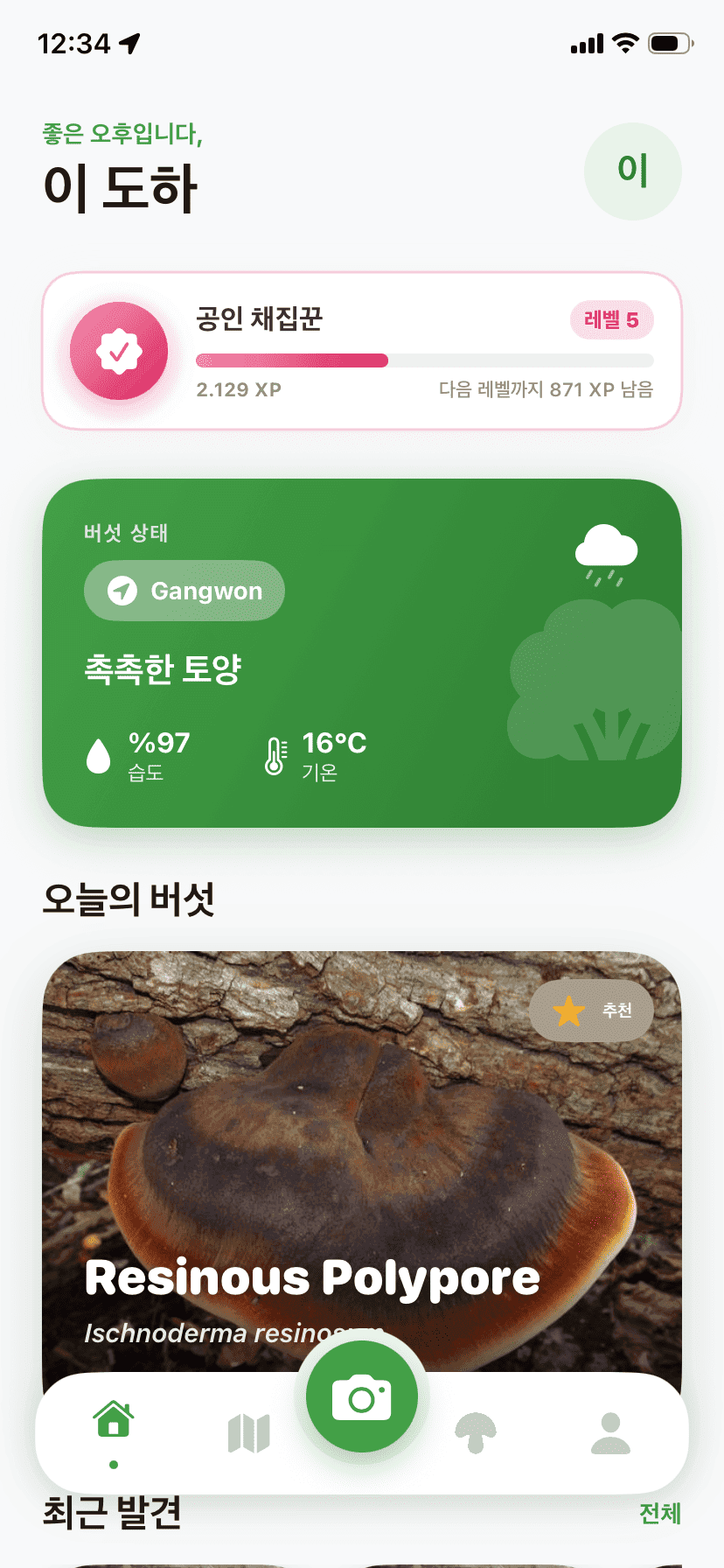 Fungisys home screen showing AI mushroom discovery dashboard
