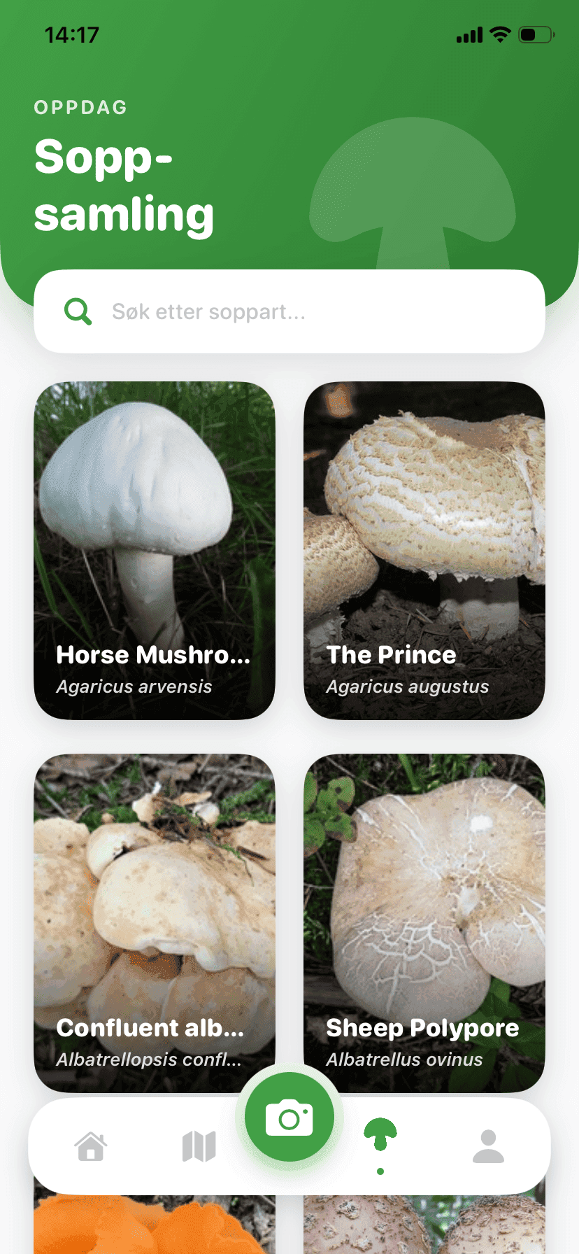 Fungisys Utforsk sopp app screen