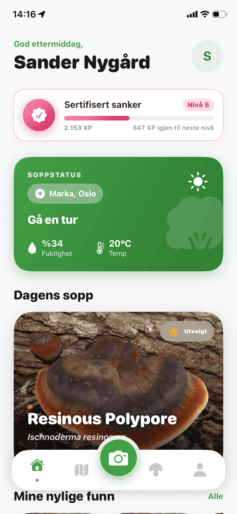 Fungisys home screen showing AI mushroom discovery dashboard