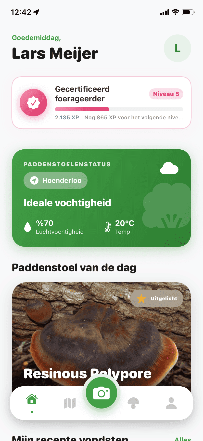 Fungisys home screen showing AI mushroom discovery dashboard