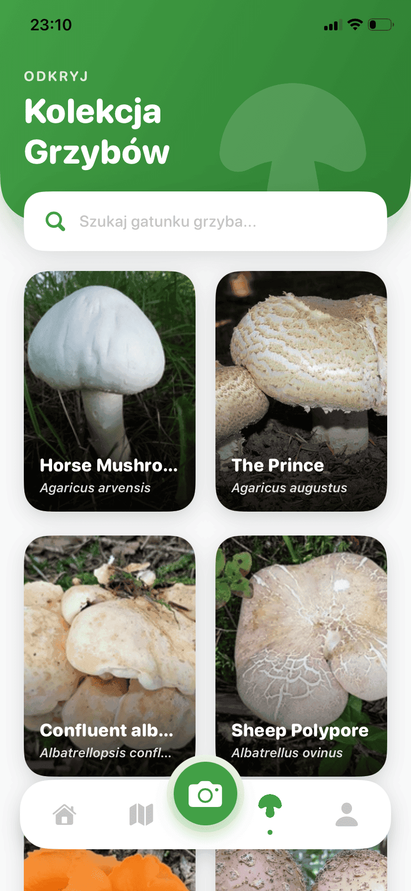Fungisys Odkrywaj grzyby app screen