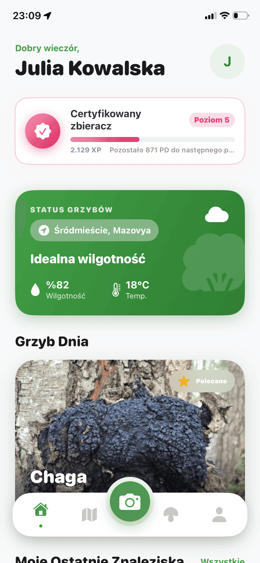 Fungisys home screen showing AI mushroom discovery dashboard