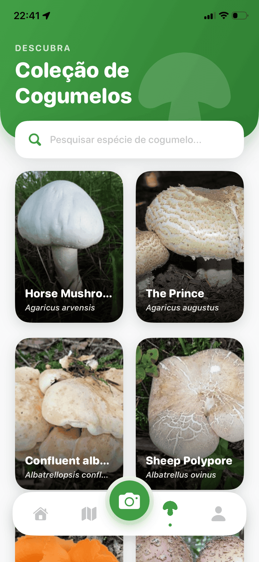Fungisys Explorar cogumelos app screen
