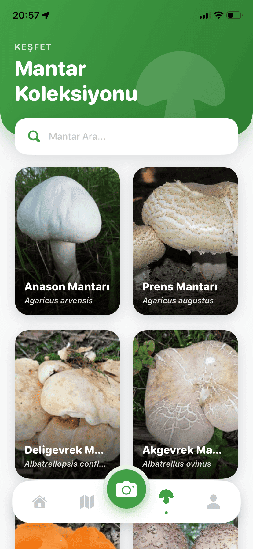 Fungisys Mantar Keşfet app screen