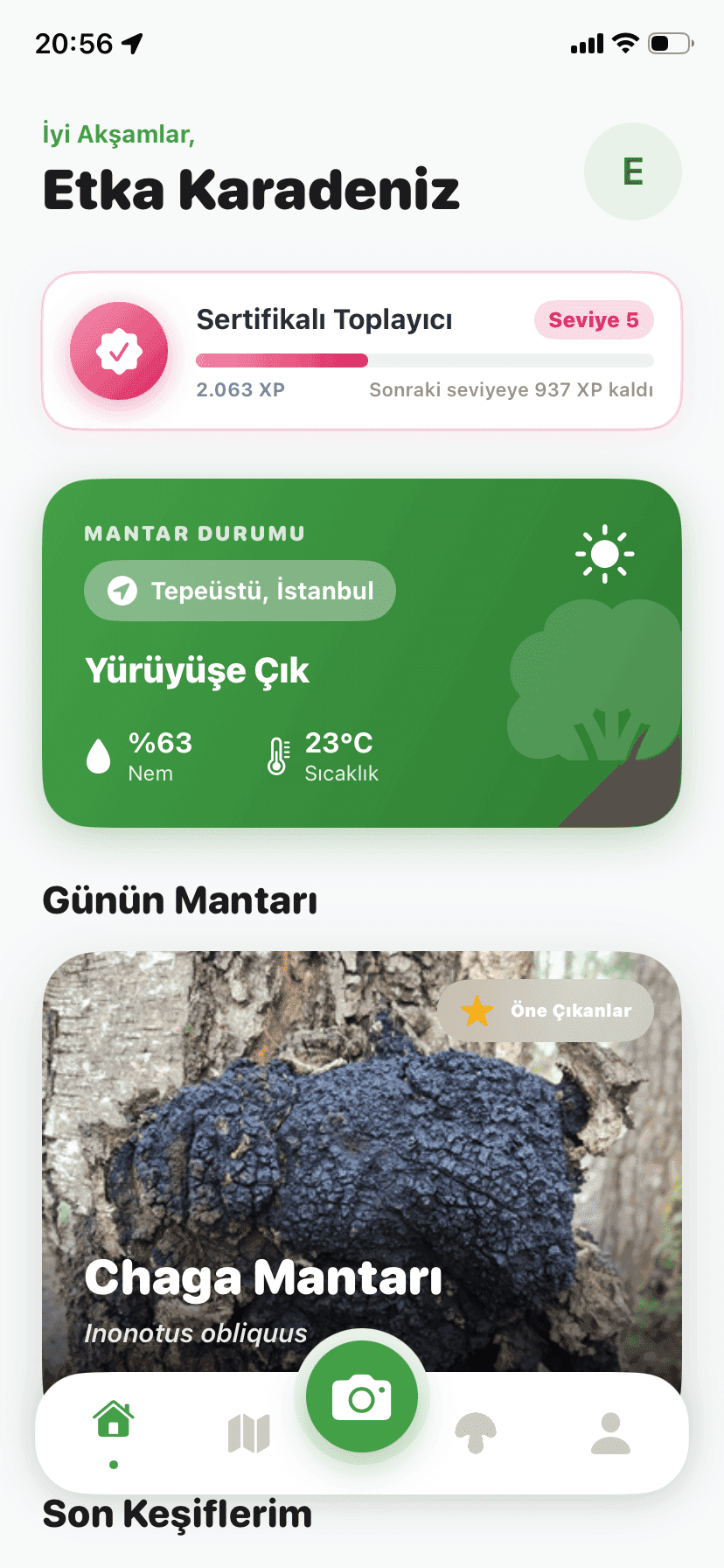 Fungisys home screen showing AI mushroom discovery dashboard