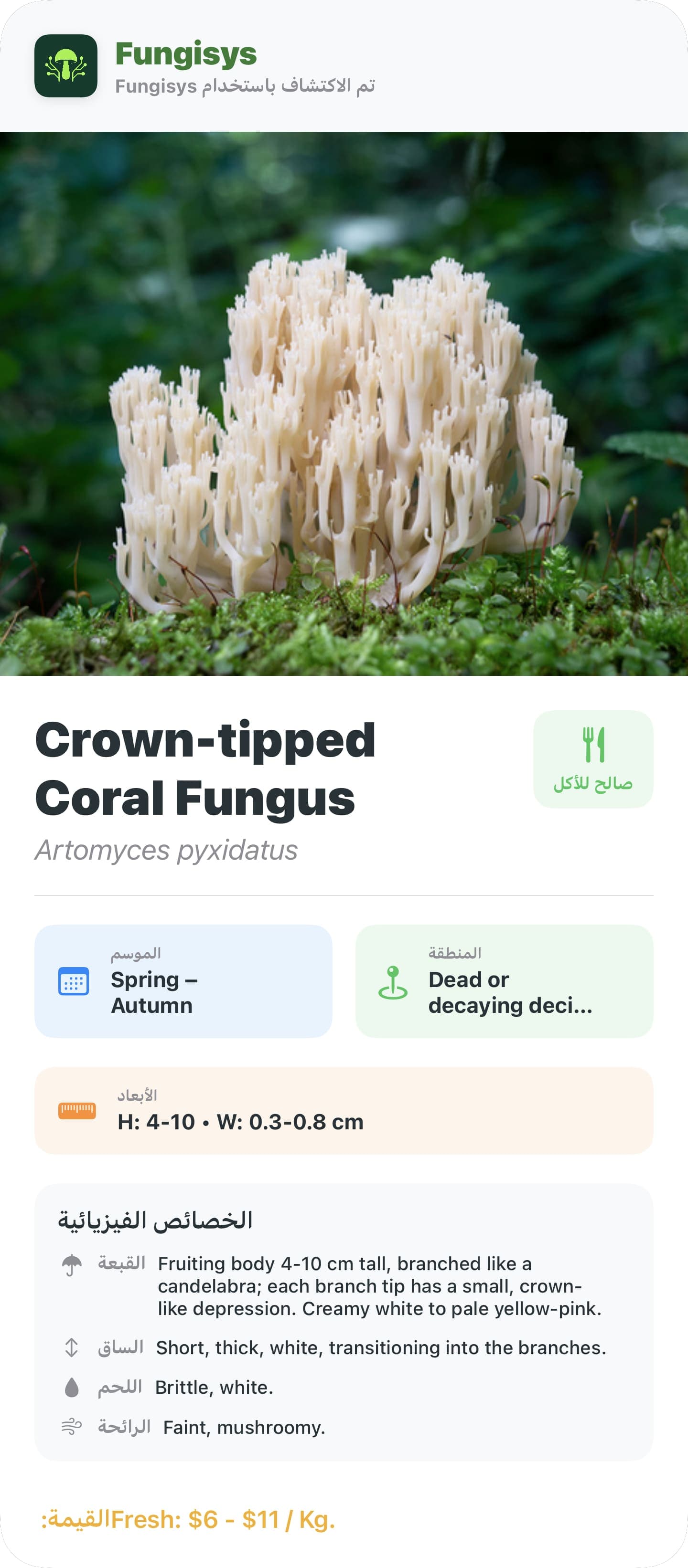 Fungisys مشاركة تفاصيل الفطر share card