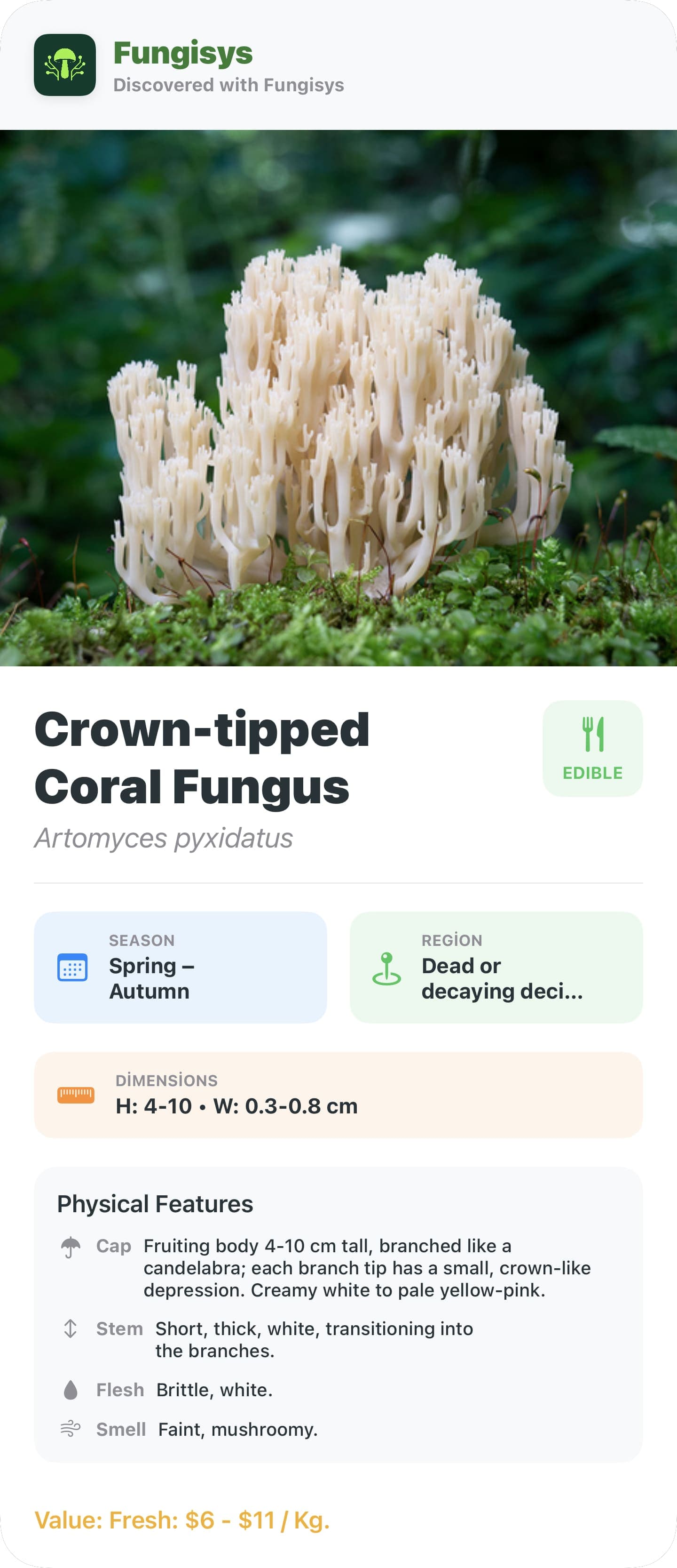 Fungisys Mushroom Detail Sharing share card