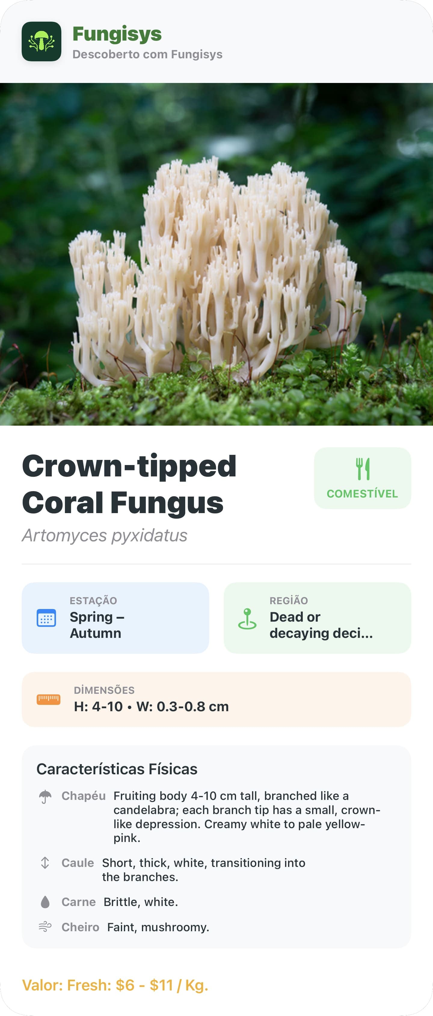 Fungisys Compartilhamento de detalhes do cogumelo share card