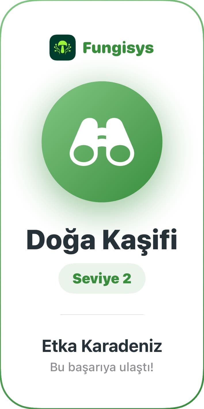 Fungisys Rozet ve Rütbe Paylaşımı share card