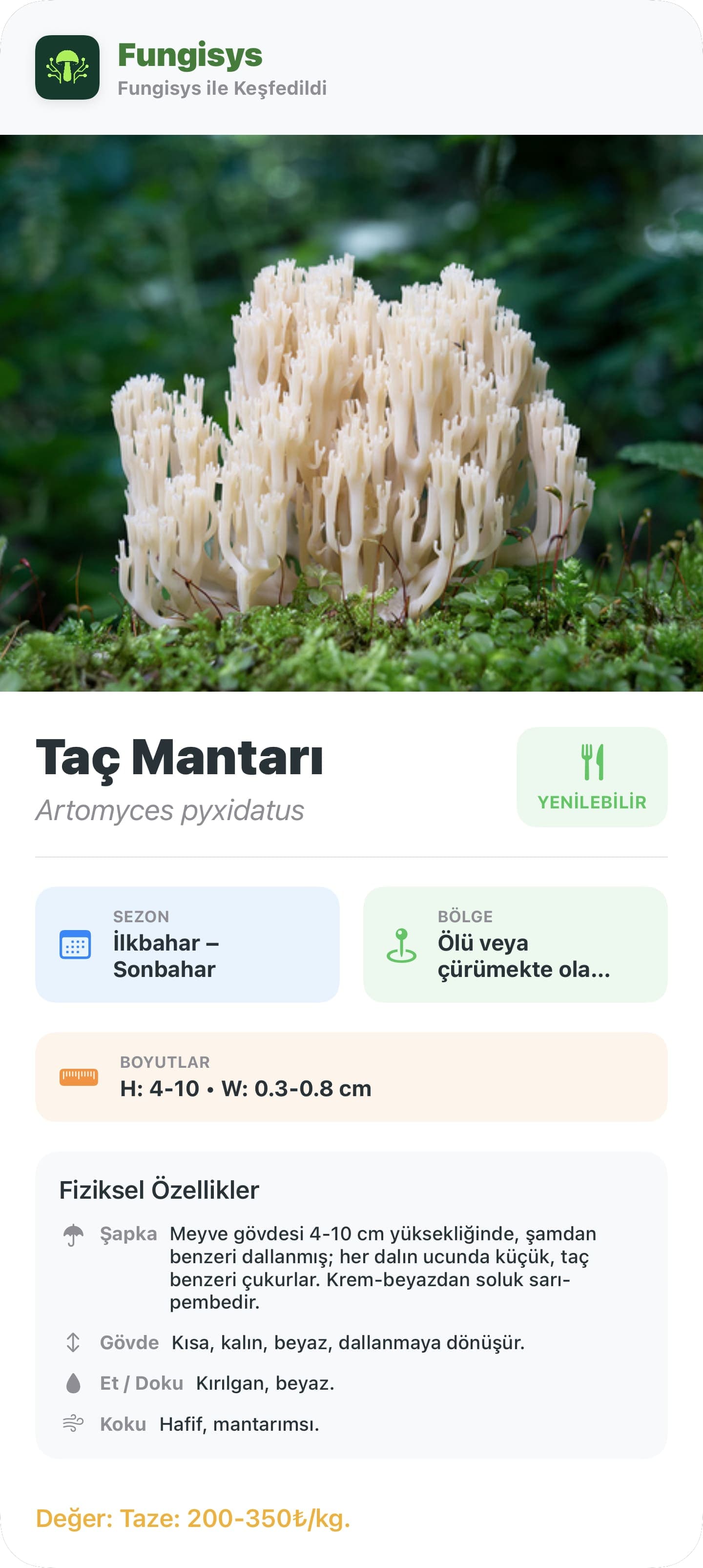 Fungisys Mantar Detay Paylaşımı share card