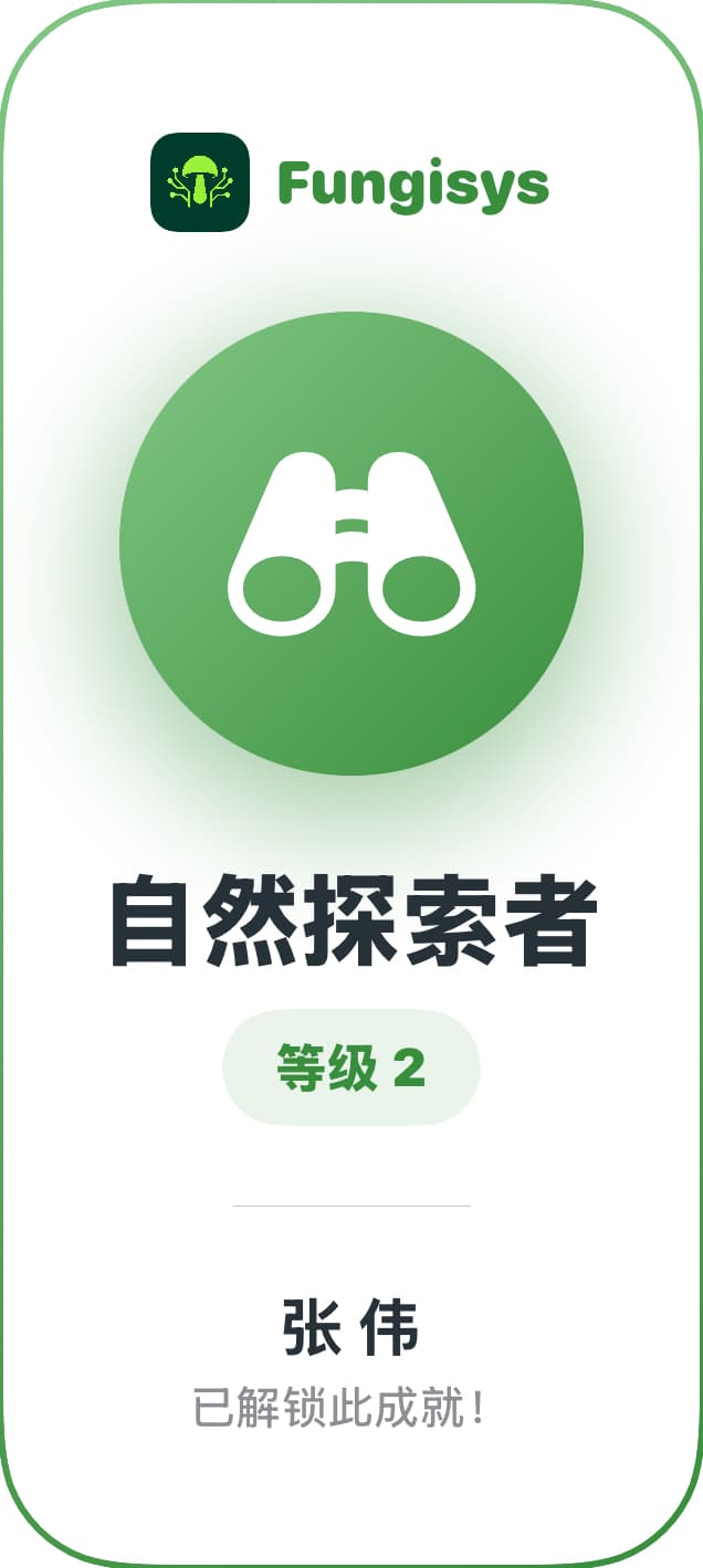 徽章与等级分享