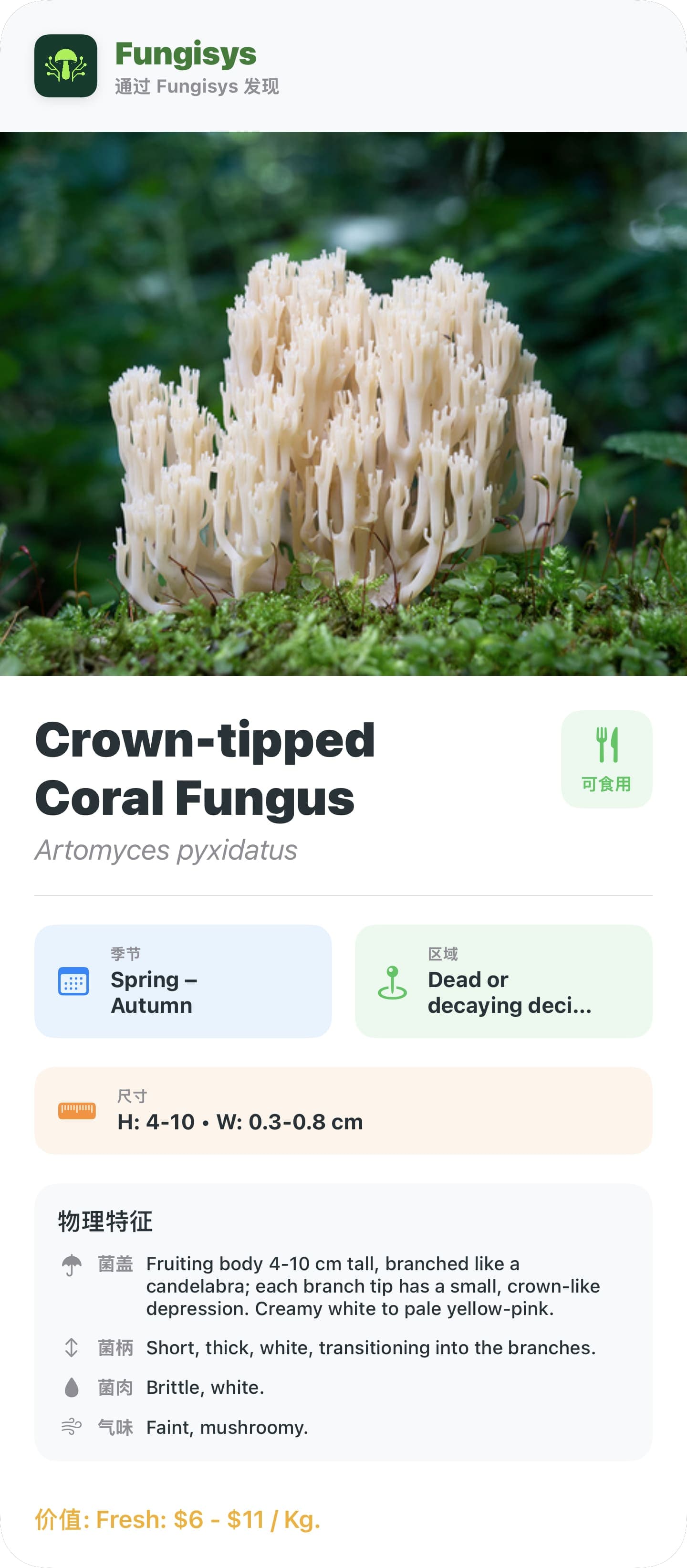 Fungisys 蘑菇详情分享 share card
