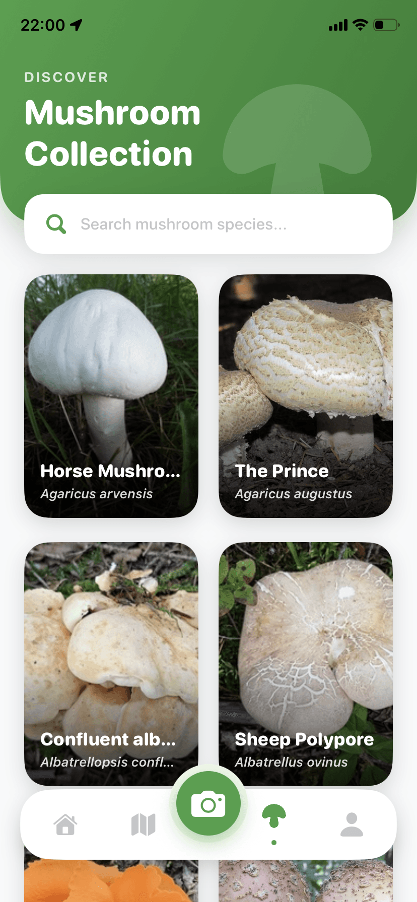 Mushroom Explore