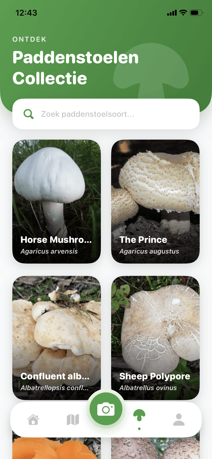 Paddenstoelen ontdekken