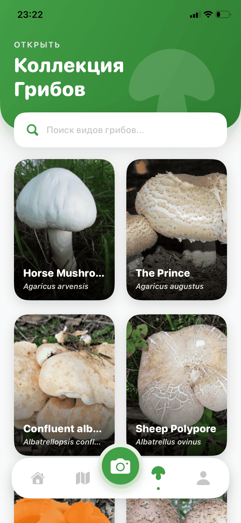 Fungisys Исследование грибов app screen