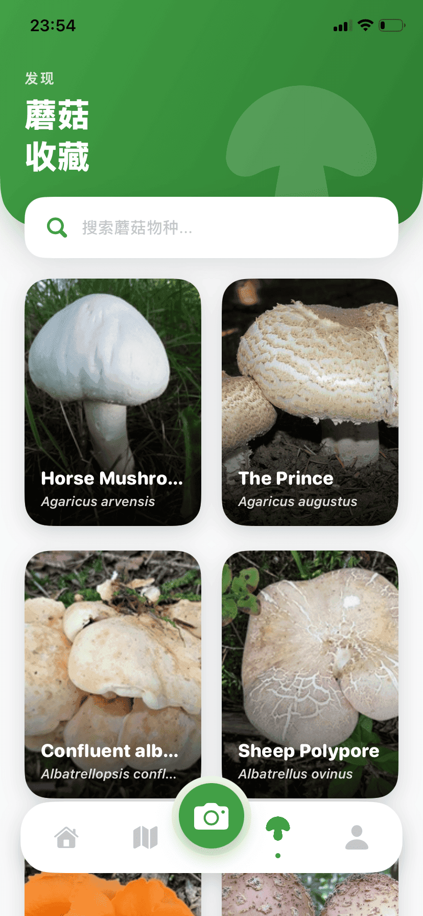Fungisys 探索蘑菇 app screen