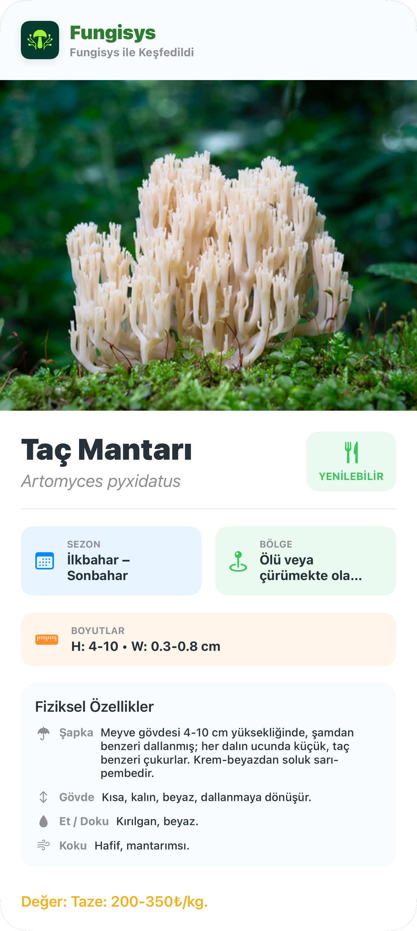 Mantar Detay Paylaşımı